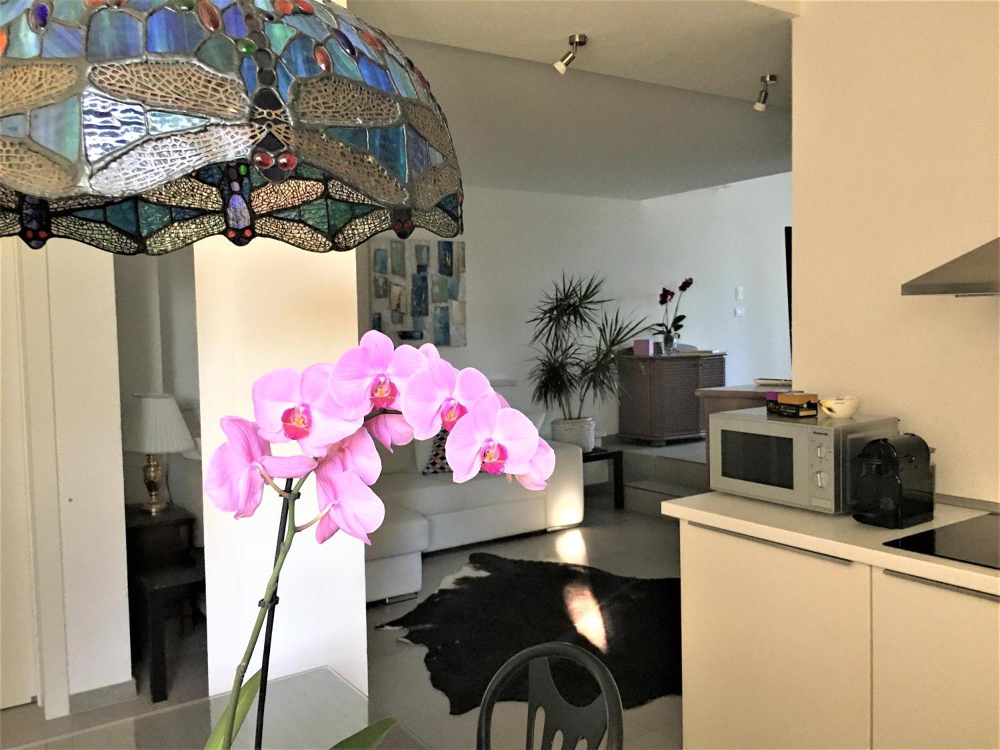 Agriturismob&b Loggia Degli Artisti Farm stay