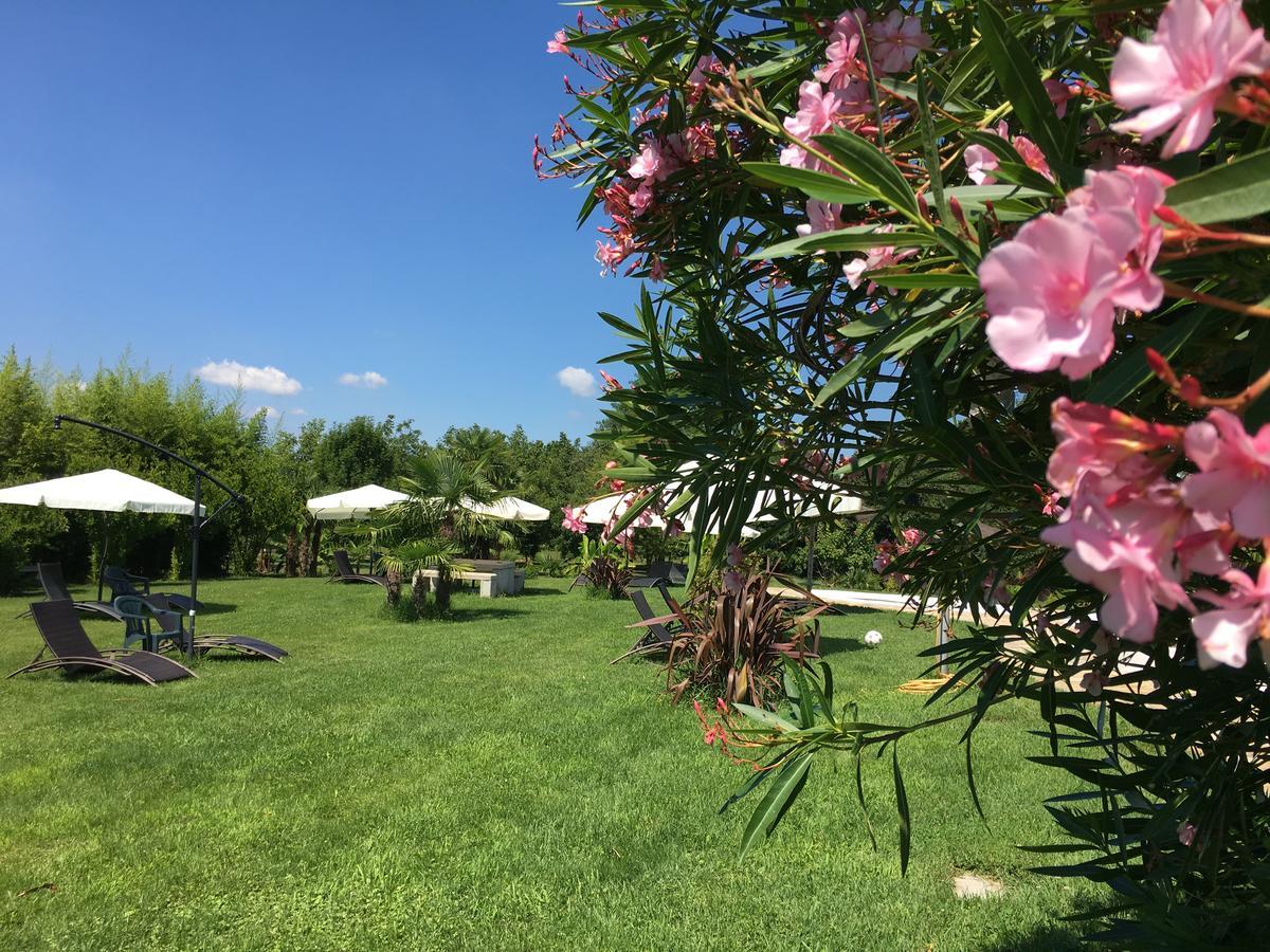 Farm stay Agriturismob&b Loggia Degli Artisti