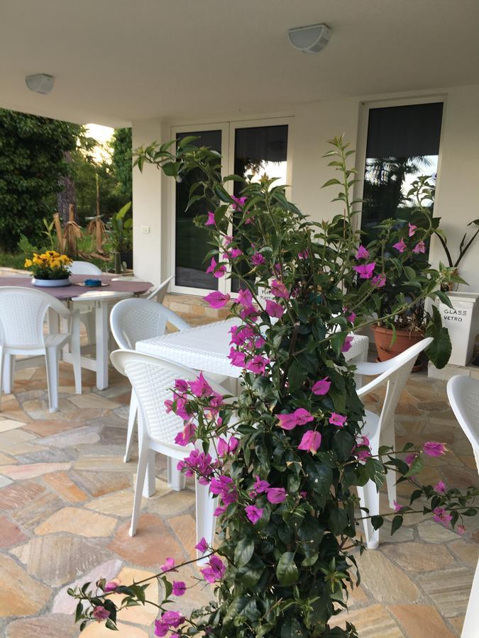 Agriturismob&b Loggia Degli Artisti Farm stay
